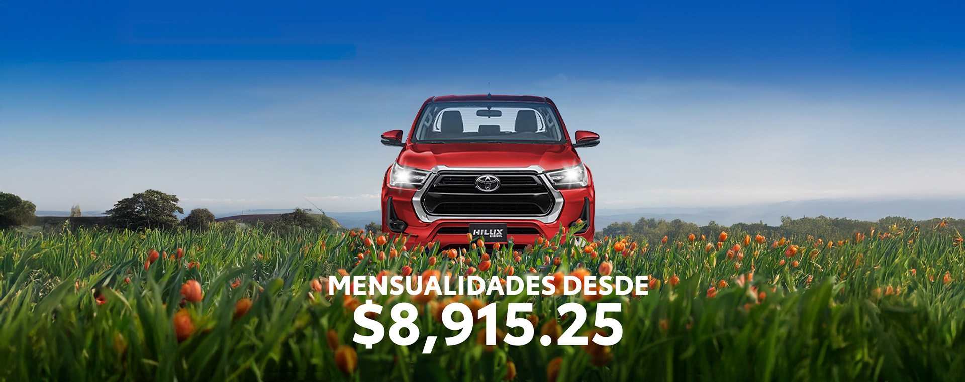 Toyota Bosques